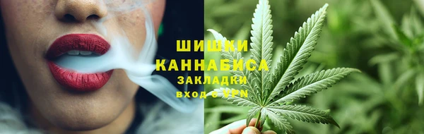 PSILOCYBIN Алзамай