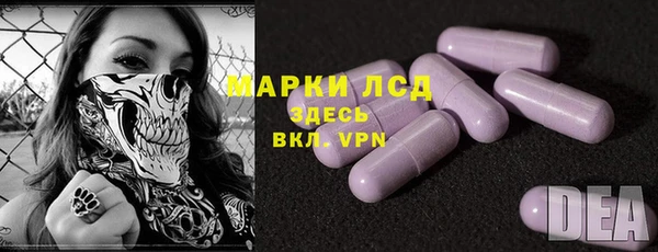PSILOCYBIN Алзамай