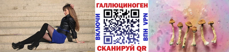 Псилоцибиновые грибы Psilocybe  Тулун 