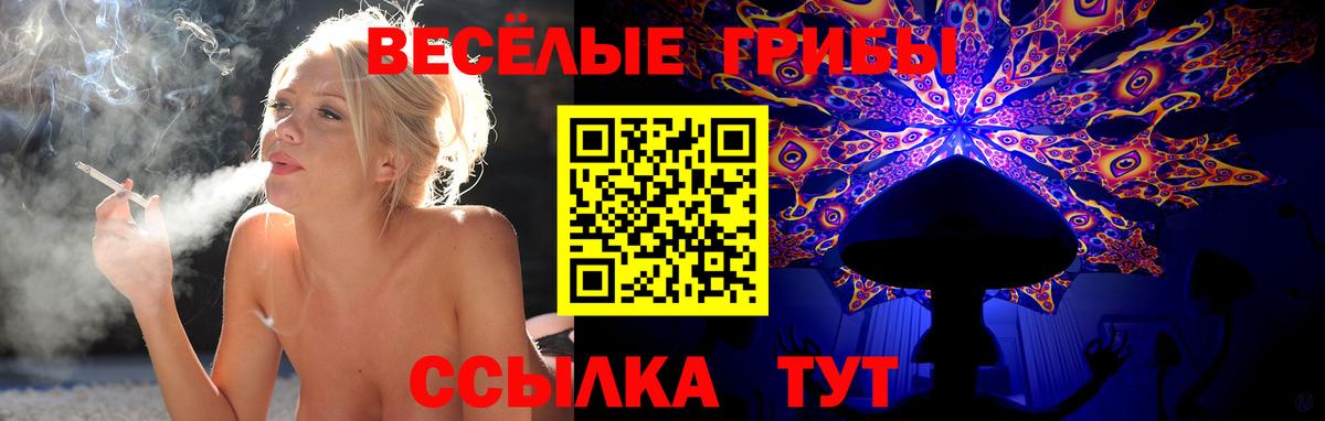 Псилоцибиновые грибы GOLDEN TEACHER Тулун