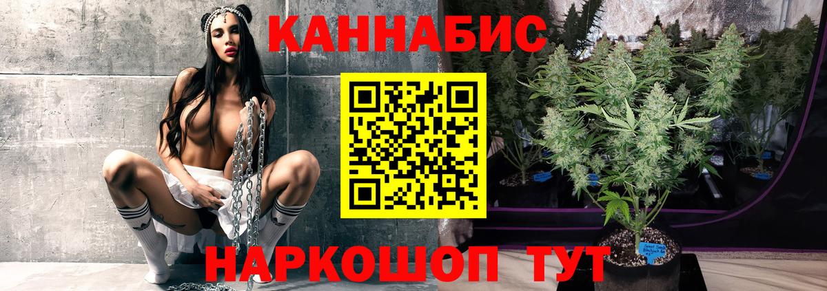 Бошки Шишки White Widow  Вход с VPN  Марихуана VHQ  Тулун 